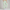 Sweatpants Elastic Bottom- Mint