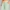 Sweatpants Elastic Bottom- Mint