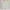 Sweatpants Elastic Bottom- Mint