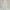 Sweatpants Elastic Bottom- Mint