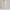 Sweatpants Elastic Bottom- Mint