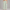 Sweatpant Open Bottom- Mint