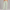 Sweatpant Open Bottom- Mint