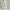 Sweatpant Open Bottom- Mint