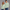 Crewneck Sweatshirt - Mint