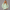 KEYNOO Oversized Pullover Hoodie – Mint