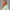 KEYNOO Oversized Pullover Hoodie – Mint