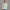 Quarter Zipper Sweatshirt - Mint