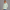 Quarter Zipper Sweatshirt - Mint