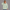 Quarter Zipper Sweatshirt - Mint