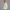 Quarter Zipper Sweatshirt - Mint