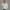 Quarter Zipper Sweatshirt - Mint