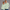 Quarter Zipper Sweatshirt - Mint