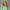 KEYNOO Oversized Zip Up Hoodie - Mint
