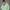 KEYNOO Oversized Zip Up Hoodie - Mint