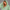 KEYNOO Oversized Zip Up Hoodie - Mint