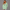KEYNOO Oversized Zip Up Hoodie - Mint