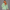 KEYNOO Oversized Zip Up Hoodie - Mint
