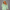 KEYNOO Oversized Zip Up Hoodie - Mint