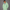 KEYNOO Oversized Zip Up Hoodie - Mint