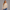 KEYNOO Oversized Crewneck Sweatshirt- Oatmeal