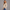 KEYNOO Oversized Crewneck Sweatshirt- Oatmeal