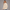 KEYNOO Oversized Crewneck Sweatshirt- Oatmeal