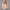 Oversized Pullover Hoodie – Oatmeal