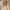 Oversized Pullover Hoodie – Oatmeal