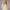 Oversized Pullover Hoodie – Oatmeal