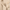 Oversized Pullover Hoodie – Oatmeal