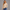 KEYNOO Oversized Quarter Zipper Sweatshirt- Oatmeal