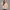 KEYNOO Oversized Quarter Zipper Sweatshirt- Oatmeal
