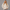 KEYNOO Oversized Pullover Hoodie – Oatmeal