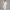 KEYNOO Oversized Pullover Hoodie – Oatmeal