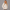 KEYNOO Oversized Pullover Hoodie – Oatmeal