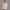 Quarter Zipper Sweatshirt - Oatmeal