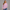 KEYNOO Oversized Crewneck Sweatshirt- Pink
