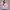 Crewneck Sweatshirt - Pink