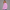 Crewneck Sweatshirt - Pink