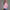 KEYNOO Oversized Half Zip Sweatshirt- Pink