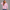 KEYNOO Oversized Quarter Zipper Sweatshirt- Pink