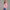 Crewneck Sweatshirt - Pink