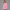 Crewneck Sweatshirt - Pink
