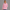 Quarter Zipper Sweatshirt - Pink