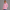 Quarter Zipper Sweatshirt - Pink