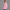 Quarter Zipper Sweatshirt - Pink