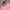 Quarter Zipper Sweatshirt - Pink