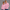 Quarter Zipper Sweatshirt - Pink