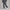 Sweatpant Elastic Bottom- Slate Grey